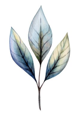 Suluboya teknikleriyle boyanmış hassas yapraklar yumuşak renkler sergiliyor. Karmaşık detaylar botanik sanatının doğal güzelliğini vurguluyor. Duvar resmi ya da dekor için mükemmel..