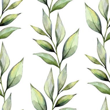 Hassas yeşil yapraklar beyaz bir arkaplan karşısında tekrarlanan bir desen içinde gösterilir. Bu tasarım sakin bir atmosferi çağrıştırıyor ve çeşitli sanatsal projeler için uygundur..