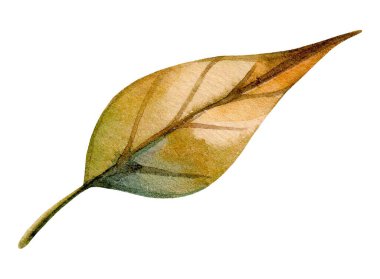 Bu sanat eserinde, doğanın güzelliğini temsil eden hassas damarlarını ve yeşil ve kahverengi tonlarını vurgulayan tek bir yaprağın ayrıntılı bir çizimi yer almaktadır..