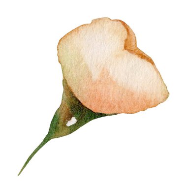 Güzel bir şeftali çiçeği suluboya teknikleri ile gösterilir, yumuşak renkler ve hafif dokunuşlar sergilenir. Bu sanat eseri çiçeğin doğal güzelliğini ve zarafetini vurguluyor..