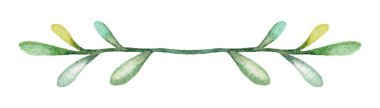Yumuşak bir suluboya çizimi, yeşilin çeşitli tonlarına sahip, narin yeşil yapraklar. Bu tasarım, görsel çekiciliğin artırılması ve yaratıcı projeler için zarif bir sınır görevi görür..
