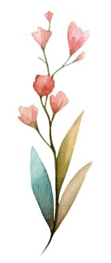 Güzel bir suluboya sanat eserinde ince bir gövde, pembe çiçekler ve yeşil yapraklarla narin fırça darbeleriyle doğanın zarafetini gösteriyor..