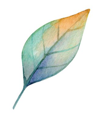 Hassas bir yaprak, turuncudan maviye dönüşen renk eğimine sahip suluboya ile sanatsal olarak hazırlanır. Karmaşık damarlar açıkça görülüyor, güzelliğini arttırıyor..