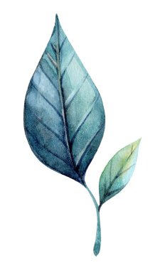 Bu sanat eseri, ince damarları ve pürüzsüz kenarları vurgulayan, doğanın özünü yakalayan mavi-yeşil yapraklardan oluşan güzel bir düzenleme içeriyor. Yumuşak renkler huzuru çağrıştırıyor.