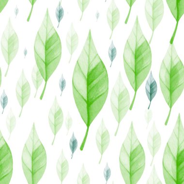 Narin yeşil ve mavi yapraklar beyaz bir zemin boyunca dağılır, doğayı çağrıştıran ahenkli ve taze bir tasarımla çeşitli şekil ve boyutlarda sergilenir..