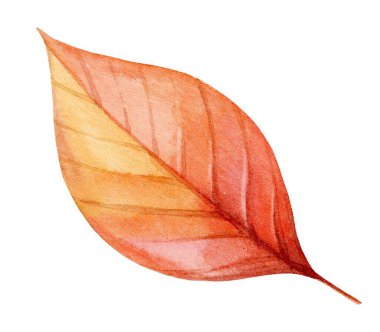 Tek bir sonbahar yaprağının suluboya çizimi, turuncu ve sarı renklerin güzel bir karışımını sergiliyor. Yaprak, sonbahar mevsiminin doğal güzelliğinin özünü temsil ediyor..