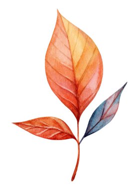 Turuncu, kırmızı ve mavi tonlardaki canlı yapraklar sonbaharın güzelliğini ön plana çıkarıyor. Hassas detaylar ve değişik şekiller mevsimin özünü yakalar..