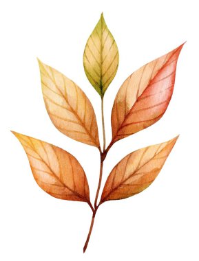 Bu sanat eserinde turuncu, sarı ve yeşilin tonlarını gösteren renkli sonbahar yaprakları yer almaktadır. Zarif tasarım doğal yeşilliğin güzelliğini vurgular..