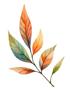 Sanat eserlerinde, her yaprağın dokusu ve şeklinin karmaşık ayrıntılarını vurgulayarak, ılık sonbahar renklerinde çeşitli yapraklar sergileniyor. Nazik karışım mevsimin özünü yakalar..