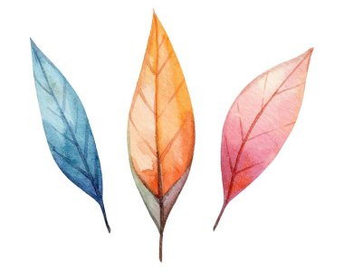 Mavi, turuncu ve pembe renkli üç yaprak, özgün şekillerini ve dokularını vurgulayan, düz beyaz bir arkaplan üzerine kurulmuş hassas bir suluboya tekniği sergiliyor..