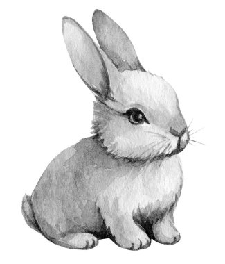 Çekici gri bir tavşan sakince otururken tasvir edilir, paltosu yumuşak ve yumuşaktır. Tavşanın özenli gözleri ve kıvrımlı kulakları ilginç doğasını hoş bir sanat eseriyle ön plana çıkarıyor..