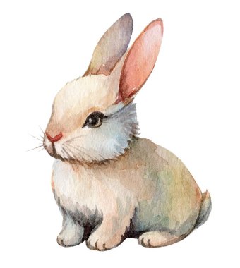 Özelliklerini ve yumuşak renklerini vurgulayan büyüleyici ve detaylı bir suluboya tavşan tasviri. Bu sanat eseri çocuk odası dekorunu geliştirebilir ya da çeşitli sanat projelerinde kullanılabilir..