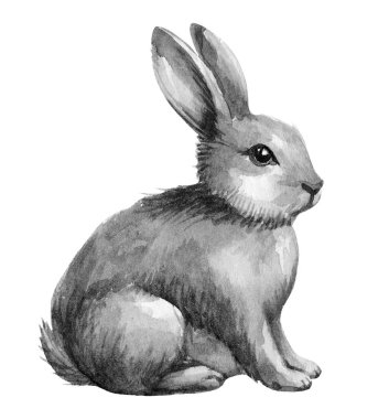 Gri bir tavşan, yeşil bir bahçede sakince oturur. Yumuşak bahar güneşinin tadını çıkarır. Yumuşak kürkü yakınlardaki çiçeklerin arasında huzurlu ifadesini vurgular..