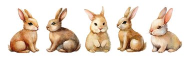 Beş sevimli tavşan yan yana sergileniyor, farklı renkler ve duruşlar sergiliyorlar. Çocuk sanat projeleri ya da büyüleyici tasarımlar için ideal..