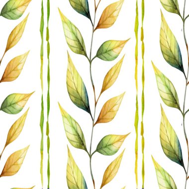 Yeşil ve altın tonlarında renkli suluboya yapraklar, tekstil veya ev dekorasyonu projeleri için uygun, temiz beyaz bir arkaplan üzerinde güzel bir desen oluşturur..