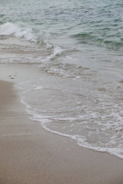 Sahildeki deniz dalgaları
