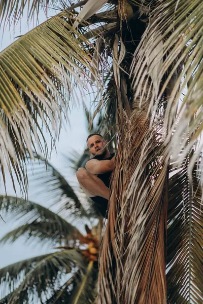 Genç bir adam tropik bir tatil köyünde palmiye ağacında oturuyor. Kameraya bakıyor..