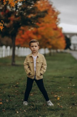 Sonbahar parkında genç bir çocuk.