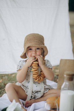 Parktaki bir piknikte lezzetli kurabiyeler yiyen sevimli küçük çocuk.