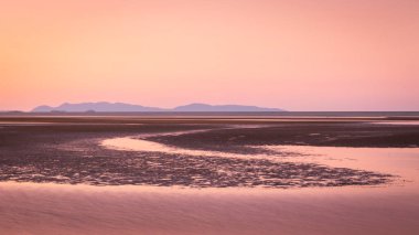 Kasabanın Queensland plajında pembe alacakaranlık ışığı