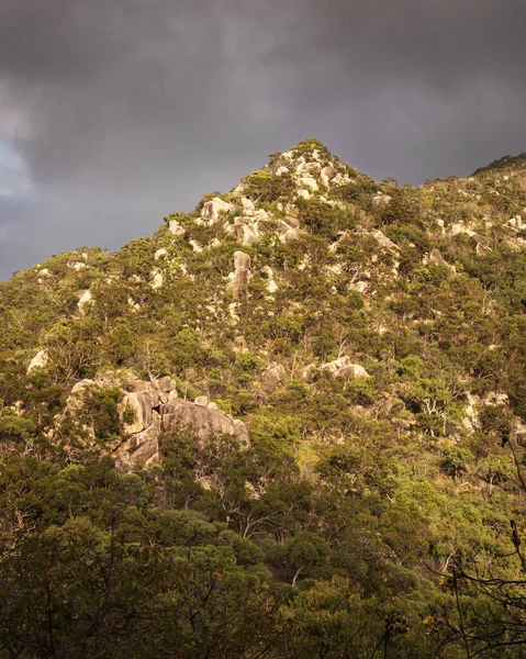 rock mountain in bushland on magnetic island in queensland