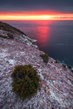 pink sunrise over cliff face in bouddi national park on nsw central coast clipart