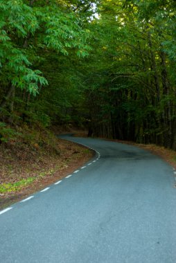 Sonbaharda bir dağ yolunda kıvrımlar tehlikeli orman ağaçlarının gölgesi yüzünden görüş mesafesi düşük.