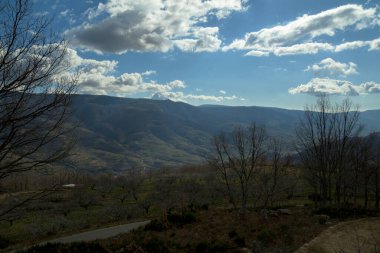 panoramic view of the jerte valley in winter with terraces of cherry trees on a sunny day with clouds