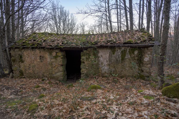 Casa Ruinas Abandonada Medio Del Bosque Invierno Horizontal —  Fotos de Stock