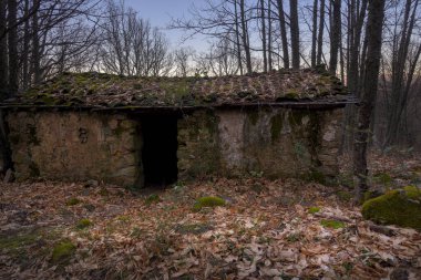 Sonbaharın sonlarında, ormanın ortasında terk edilmiş bir ev.