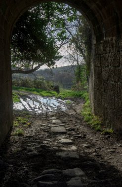 Sonunda ışık olan taştan bir tünel. Gündüzleri bir sürü bitki taşı zeminiyle.