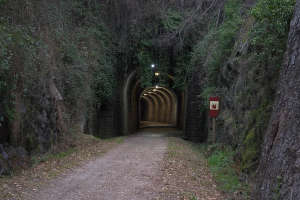 通过西班牙埃斯特雷马杜拉的Verde Plata Eurovelo 有植被的小径的照明隧道 — 图库照片