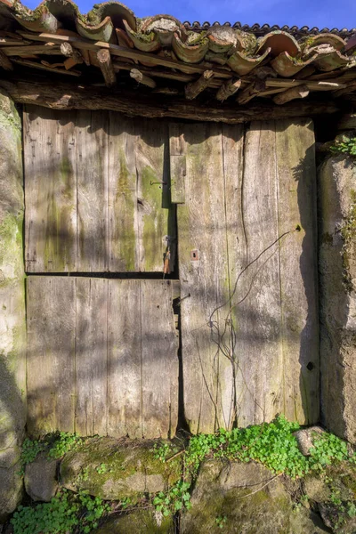 Staré Dřevěné Dveře Mechem Opuštěném Zničeném Domě Modrou Oblohou — Stock fotografie