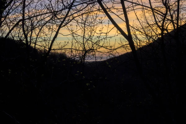 水平方向にピンクと紫の空の木と枝の間の逆光の夕日 — ストック写真