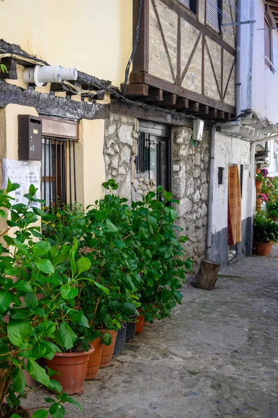 Hervas Taki Tipik Bir Yahudi Mahallesi Dekoratif Bitkilerle Dolu — Stok fotoğraf