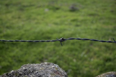 Çelik dikenli telleri yeşil çim arka planı ve taş duvar tabanlı yatay çitlerle donatın.