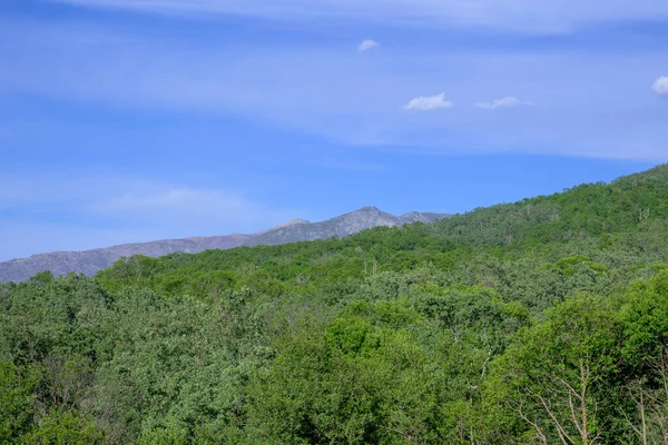 Monte Norte Extremadura Castaño Gallego Verde Con Montañas Cielo Azul — Foto de Stock