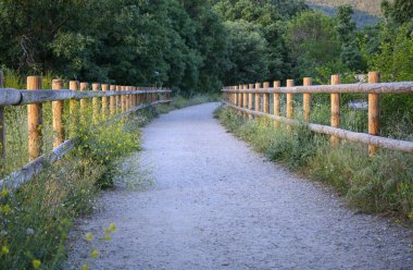 Sessizce yürümek ve doğada yatay rahatlamak için tasarlanmış bir yol.