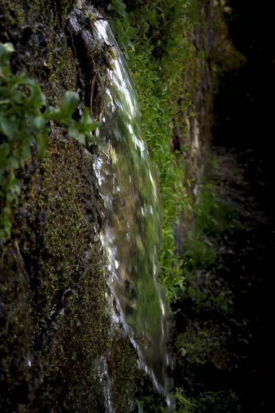 Φρέσκο Φυσικό Μεταλλικό Νερό Που Βγαίνει Από Την Άνοιξη Πρασινωπά — Φωτογραφία Αρχείου