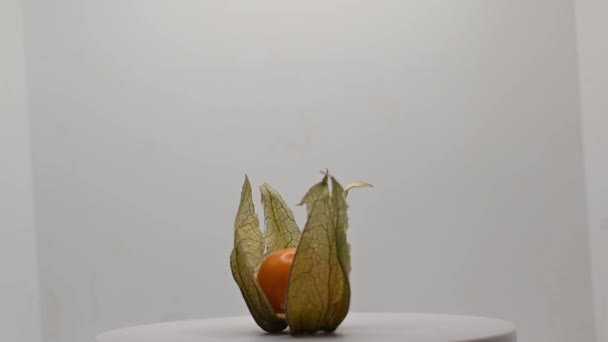 Ωριμάζουν Physalis Έτοιμο Φάει Όρθια Εξωτικά Φρούτα Πηκτίνη Περιστροφή — Αρχείο Βίντεο