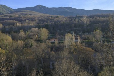 Kışın yapraksız ağaçlarla birlikte orman manzarası dağ ve mavi gökyüzü yatay.