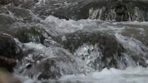 Dettaglio Acqua Dolce Pulita Che Scorre Nel Fiume Montagna Tra — Video Stock