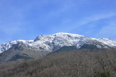 Bahar karıyla kaplı karlı dağın tepesi ve eriyen bir sürü bitki.