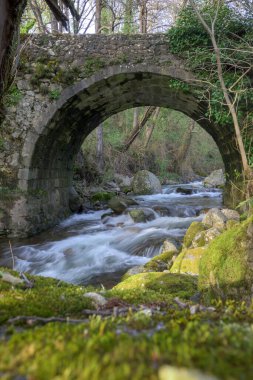 Kudretli Ambroz Nehri üzerindeki eski taş köprü ve dikey olarak bol yosun içeren kayalar