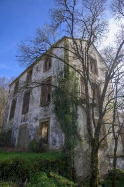 Terk edilmiş ve ormanın ortasında yarı yıkılmış bir ev.
