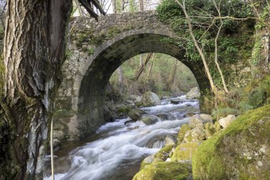 Kudretli Ambroz Nehri üzerindeki taş köprü ve bol yosunlu kayalar.