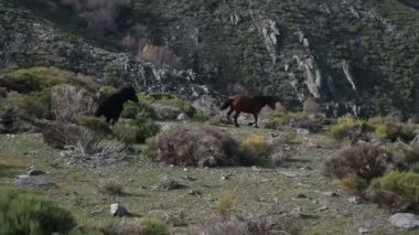 Dolunay ve bulutlar alacakaranlıkta dağ ve bulutlu gökyüzü dikey