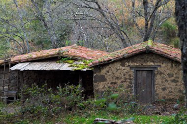 Ormanda terk edilmiş korkunç bir ev. Yatay taştan yapılmış.