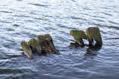 Nehrin yükselmesi ve taşması yüzünden sandıklar taşmış.