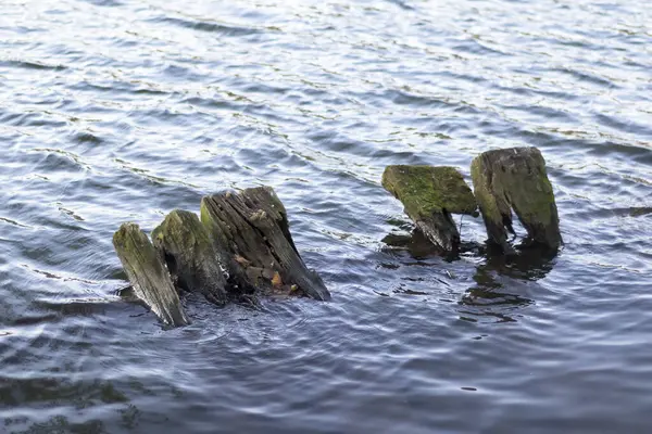 Nehrin yükselmesi ve taşması yüzünden sandıklar taşmış.